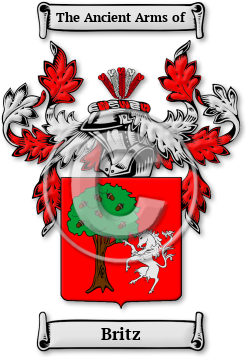 Britz Family Crest Download (jpg) Legacy Series - 150 DPI