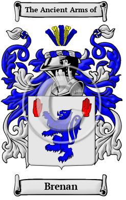 Brenan Family Crest/Coat of Arms