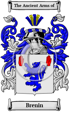 Brenin Family Crest/Coat of Arms