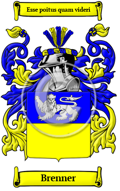 Brenner Family Crest/Coat of Arms