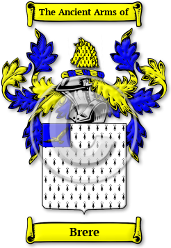 Brere Family Crest Download (jpg) Legacy Series - 150 DPI