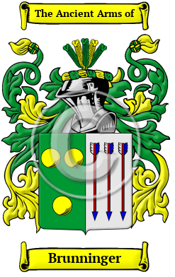 Brunninger Family Crest/Coat of Arms