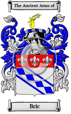 Bric Family Crest/Coat of Arms