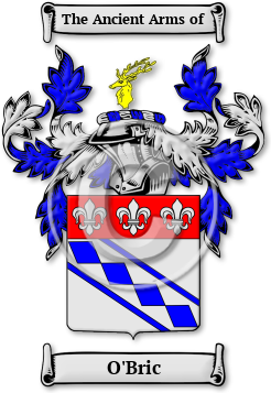 O'Bric Family Crest Download (JPG) Legacy Series - 600 DPI