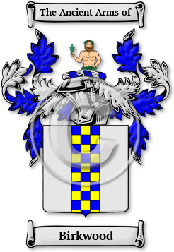 Birkwood Family Crest Download (jpg) Legacy Series - 150 DPI