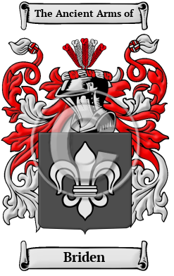 Briden Family Crest/Coat of Arms