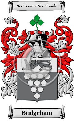 Bridgeham Family Crest/Coat of Arms