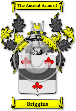 Briggins Family Crest Download (jpg) Legacy Series - 150 DPI