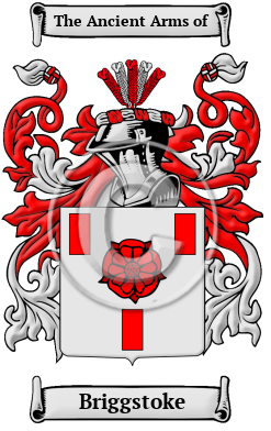 Briggstoke Family Crest/Coat of Arms