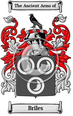 Briles Family Crest Download (JPG) Heritage Series - 600 DPI