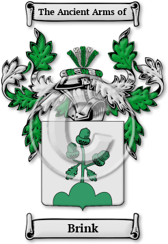 Brink Family Crest Download (jpg) Legacy Series - 150 DPI