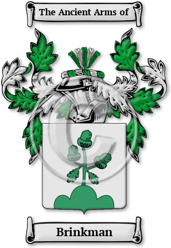 Brinkman Family Crest Download (jpg) Legacy Series - 150 DPI