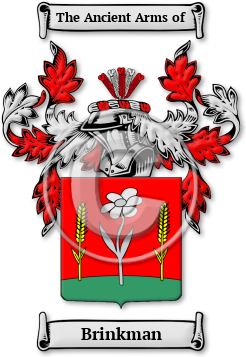Brinkman Family Crest Download (jpg) Legacy Series - 150 DPI