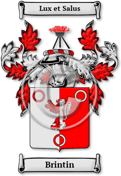 Brintin Family Crest Download (JPG) Legacy Series - 600 DPI