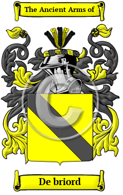 De briord Family Crest/Coat of Arms