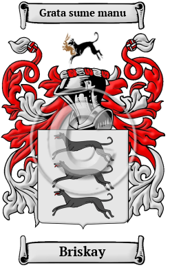 Briskay Family Crest/Coat of Arms