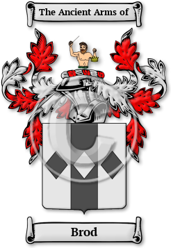 Brod Family Crest Download (JPG) Legacy Series - 600 DPI