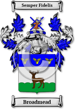Broadmead Family Crest Download (JPG) Legacy Series - 600 DPI