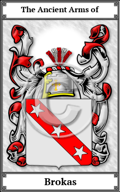Brokas Family Crest Download (JPG)  Book Plated - 150 DPI