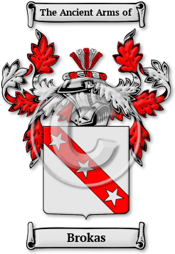 Brokas Family Crest Download (jpg) Legacy Series - 150 DPI