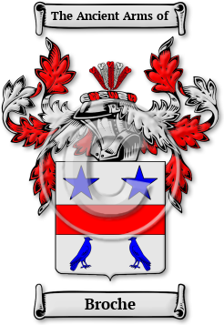 Broche Family Crest Download (JPG) Legacy Series - 600 DPI