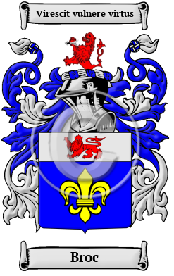 Broc Name Meaning, Family History, Family Crest & Coats of Arms