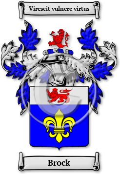 Brock Family Crest Download (JPG) Legacy Series - 600 DPI