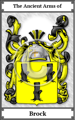 Brock Family Crest Download (JPG) Book Plated - 600 DPI