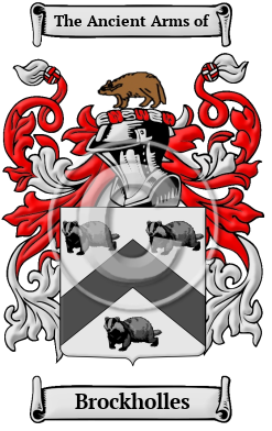 Brockholles Family Crest/Coat of Arms