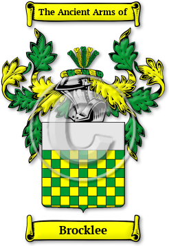 Brocklee Family Crest Download (jpg) Legacy Series - 150 DPI