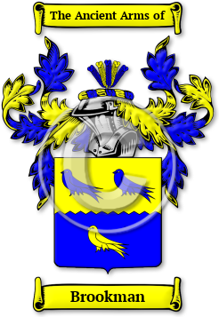 Brookman Family Crest Download (jpg) Legacy Series - 150 DPI