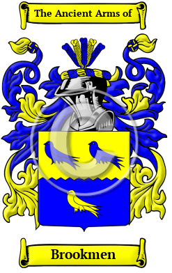 Brookmen Family Crest/Coat of Arms