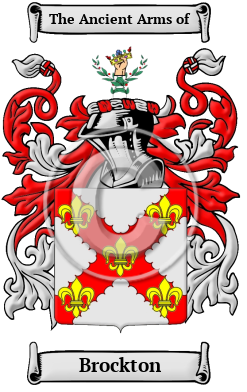 Brockton Family Crest/Coat of Arms