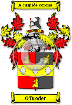 O'Broder Family Crest Download (jpg) Legacy Series - 150 DPI