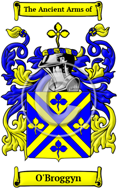 O'Broggyn Family Crest/Coat of Arms