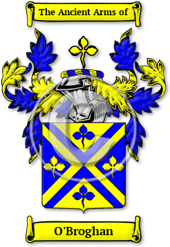 O'Broghan Family Crest Download (jpg) Legacy Series - 150 DPI