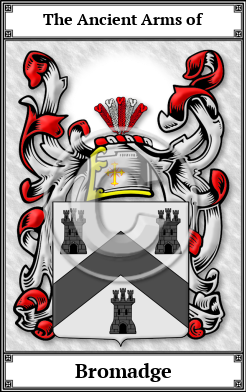 Bromadge Family Crest Download (JPG)  Book Plated - 150 DPI