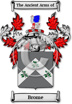 Brome Family Crest Download (jpg) Legacy Series - 150 DPI