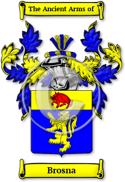 Brosna Family Crest Download (jpg) Legacy Series - 150 DPI