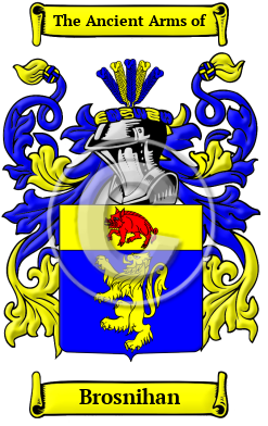 Brosnihan Family Crest/Coat of Arms