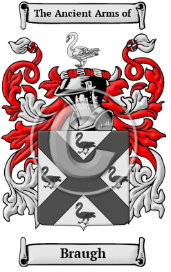 Braugh Family Crest/Coat of Arms