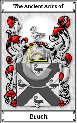 Bruch Family Crest Download (JPG)  Book Plated - 150 DPI