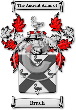 Bruch Family Crest Download (jpg) Legacy Series - 150 DPI
