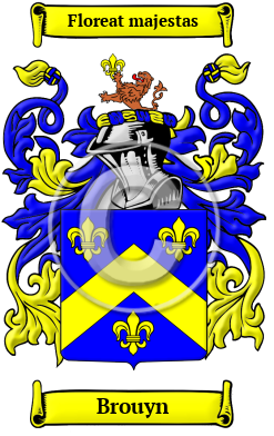 Brouyn Family Crest/Coat of Arms
