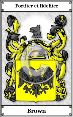 Brown Family Crest Download (JPG) Book Plated - 600 DPI
