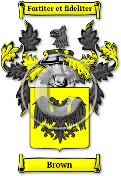 Brown Family Crest Download (JPG) Legacy Series - 600 DPI