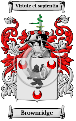 Brownridge Family Crest/Coat of Arms