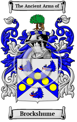 Brockshume Family Crest/Coat of Arms