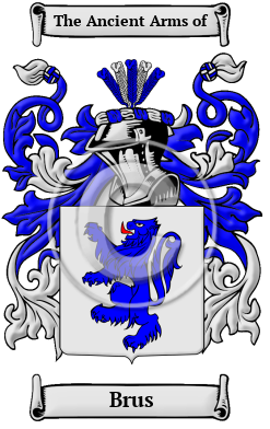 Brus Family Crest/Coat of Arms