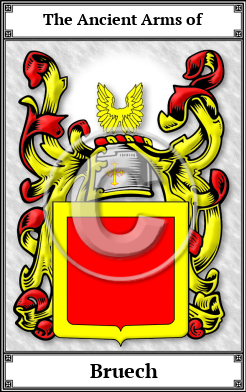 Bruech Family Crest Download (JPG)  Book Plated - 150 DPI